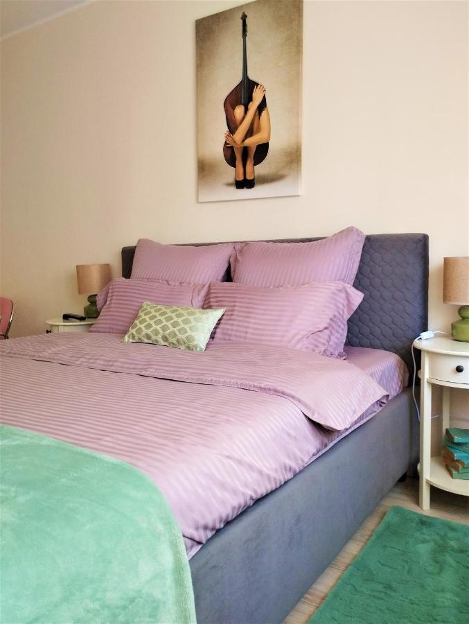 Central Lala Apartament Apartment บราชอฟ ภายนอก รูปภาพ